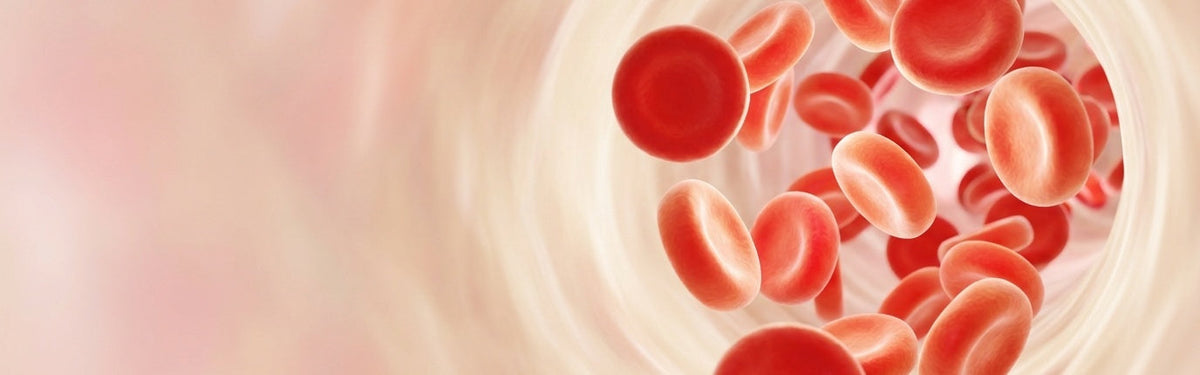 Reduction in Arterial Plaque
